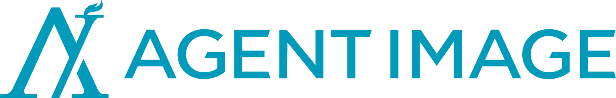 Agent Image